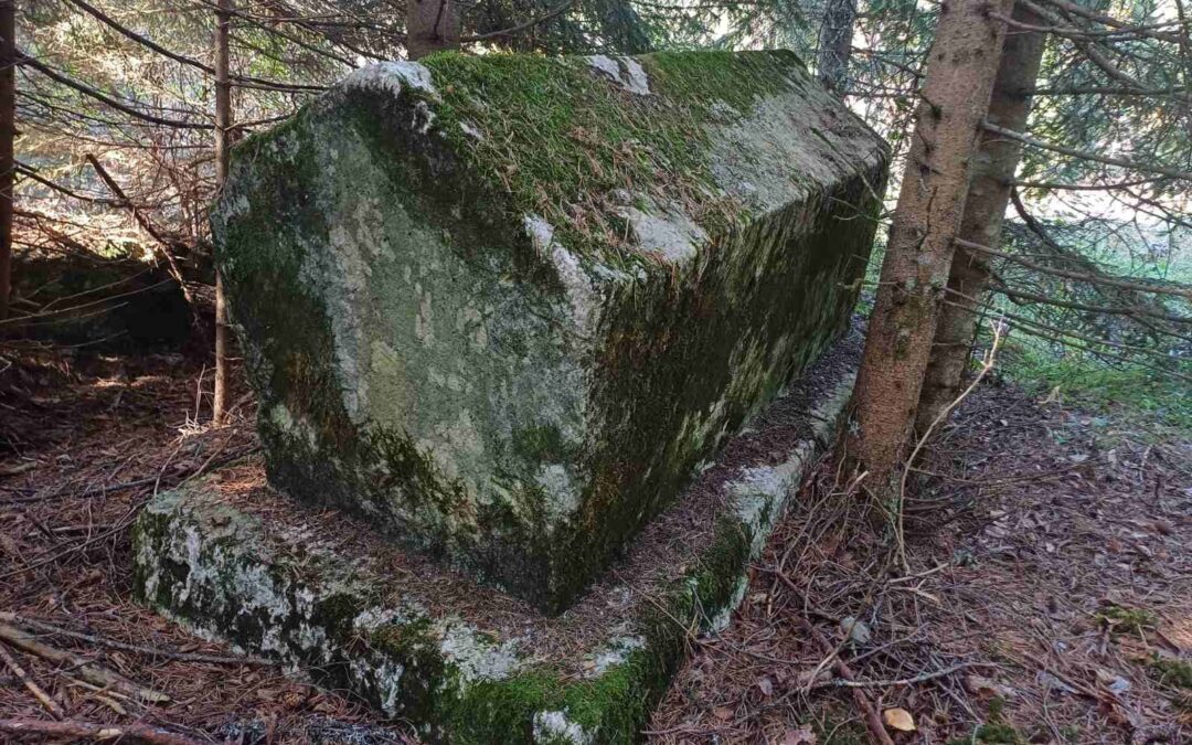 Unrecorded Necropolis of Medieval Tombstones Discovered in the Village of Kuti, Sokolac Municipality