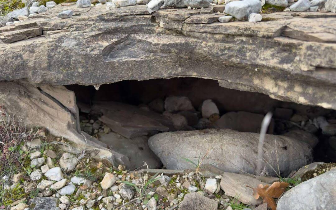 Urgent Appeal for the Protection of the Greblje Necropolis in Humilišani, Mostar
