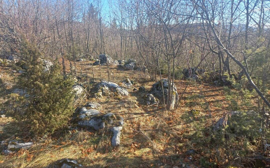Foundation “Heritage Watchdogs – Bassania” Discovers Unregistered Illyrian Hillfort on Hreša