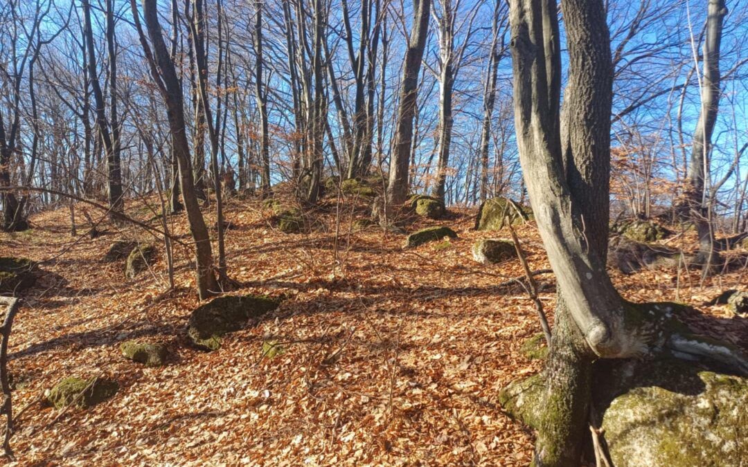 Velika Gradina, Zenik – Ilidža