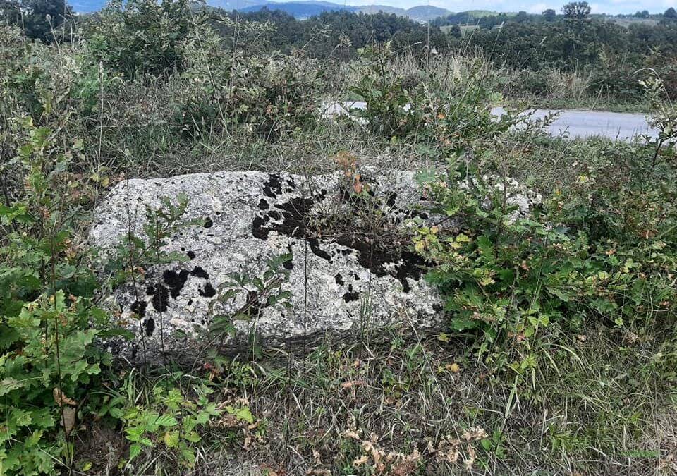 Garići, Grabovica – Vlasenica