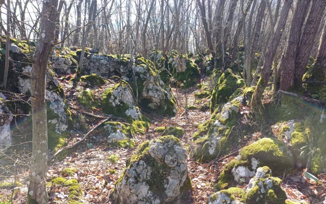 Bassania Foundation records a new discovery: An unrecorded hillfort in Petrovići