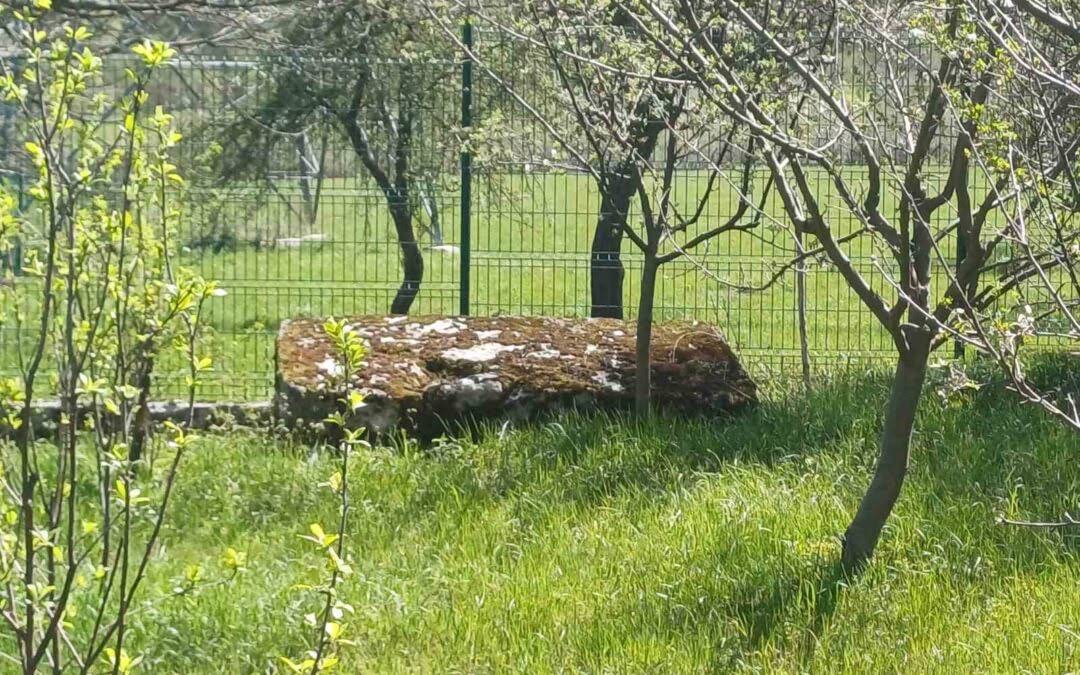 We visited Pazarić and toured the necropolis of medieval tombstones