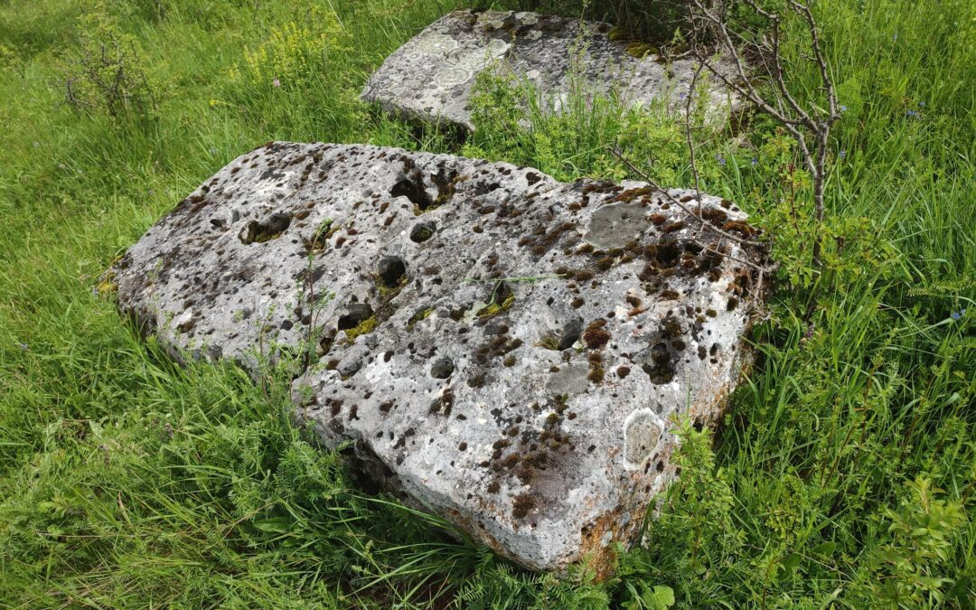 A new discovery of the Foundation: An unrecorded Hanića Han necropolis near Sokolac