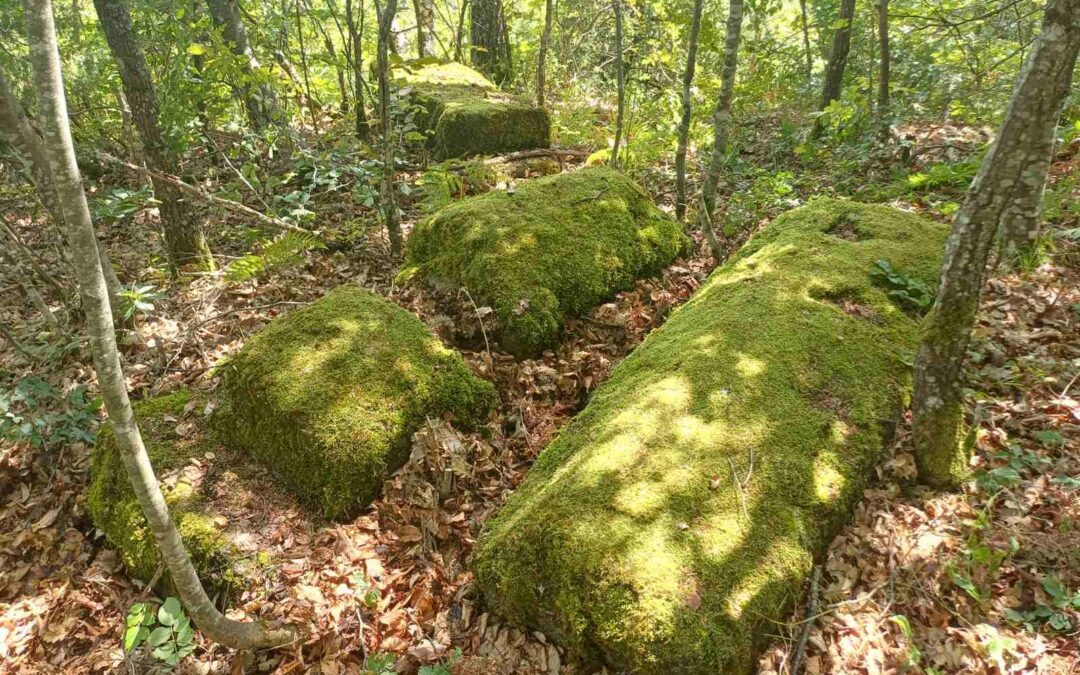 Bassania Foundation Presents: Unrecorded Medieval Tombstone Necropolis in Karauzovići