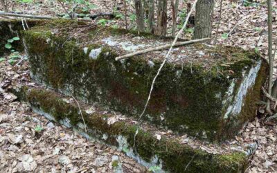 In the Shade of Bushes and Trees: The Docevi Necropolis in Ljubomišlje