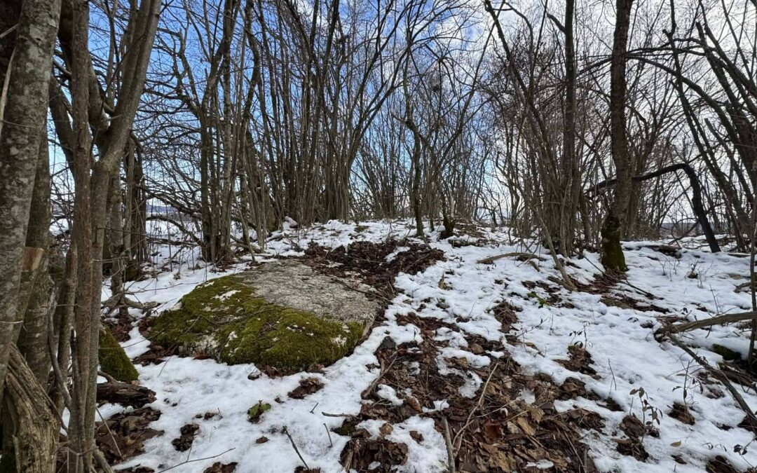 The Crkvina/Martin Necropolis, Fajtovci – Threat of Total Destruction Due to Mine Proximity
