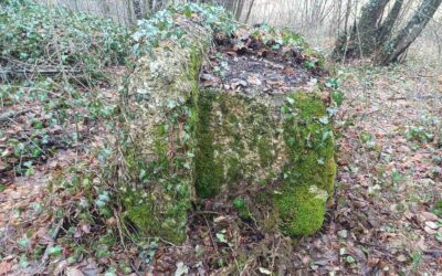 Two New Unrecorded Necropolises: Bašča (Završje, Kiseljak) and Luka (Tušnjići-Zagorice, Visoko)