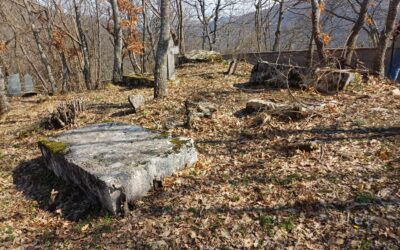 Foundation Bassania Presents: An Unrecorded Medieval Tombstone Necropolis in Zabrđani near Bjelimići