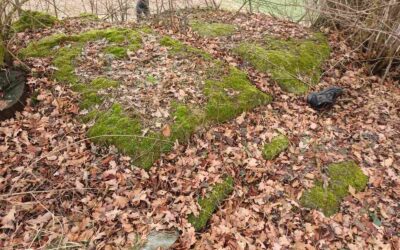 The Dvor Necropolis near Visoko: Five Medieval Tombstones on an Illyrian Tumulus and Clarification of Literary Confusion