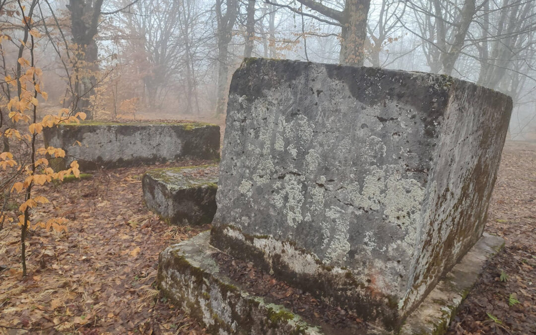 Medieval Tombstones in the Forest near Vrhbarje: How the Same Necropolis Was Recorded Twice
