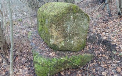 Foundation Bassania Discovers Unrecorded Medieval Tombstone Necropolis in the Visoko Region