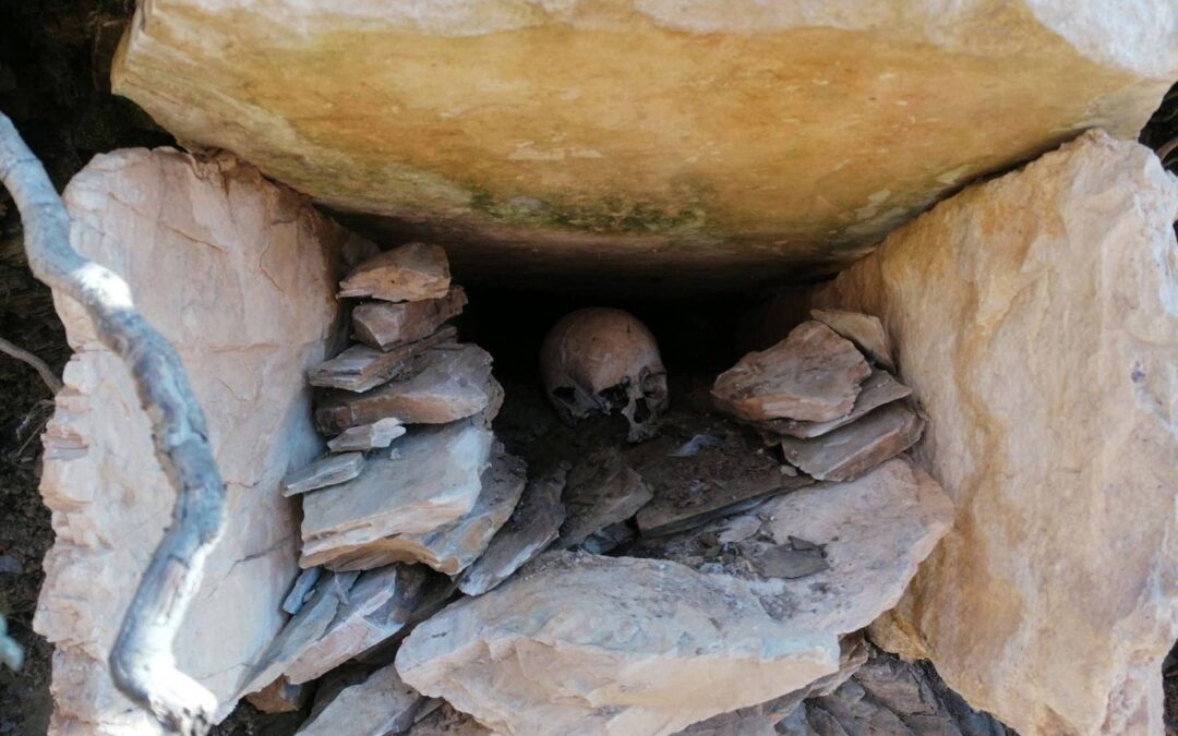 Vogošća: Catastrophic Condition of Necropolises in Gora and Kamenica