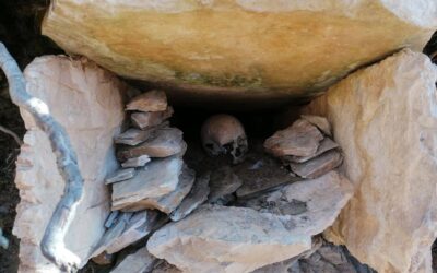 Vogošća: Catastrophic Condition of Necropolises in Gora and Kamenica