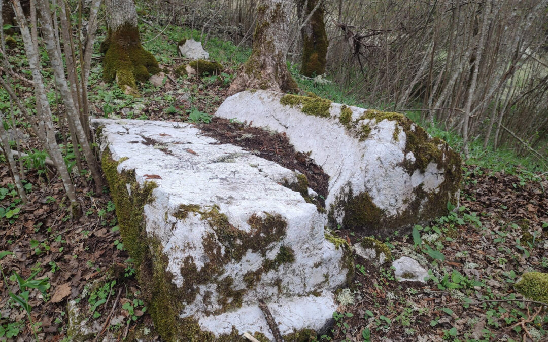 Medieval Tombstones in Banjalučica: The Šumarak/Mramorje Necropolis in the Hamlet of Karetići