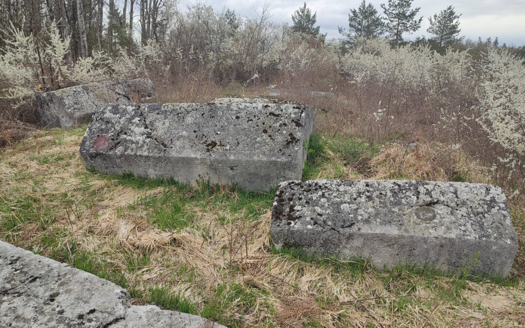 Medieval Tombstones in Banjalučica: The Lokve Necropolis in the Hamlet of Karetići