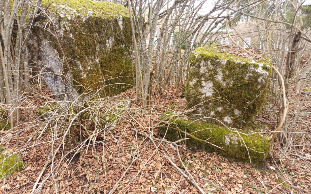 Saturday Cleanup Action for the Stećci Necropolis in Bjelimići