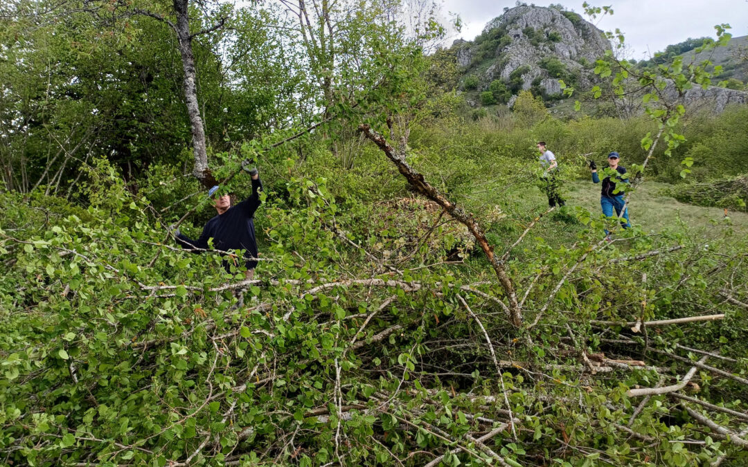 Cleanup Action for the Necropolis of Medieval Tombstones in Bjelimići Successfully Completed