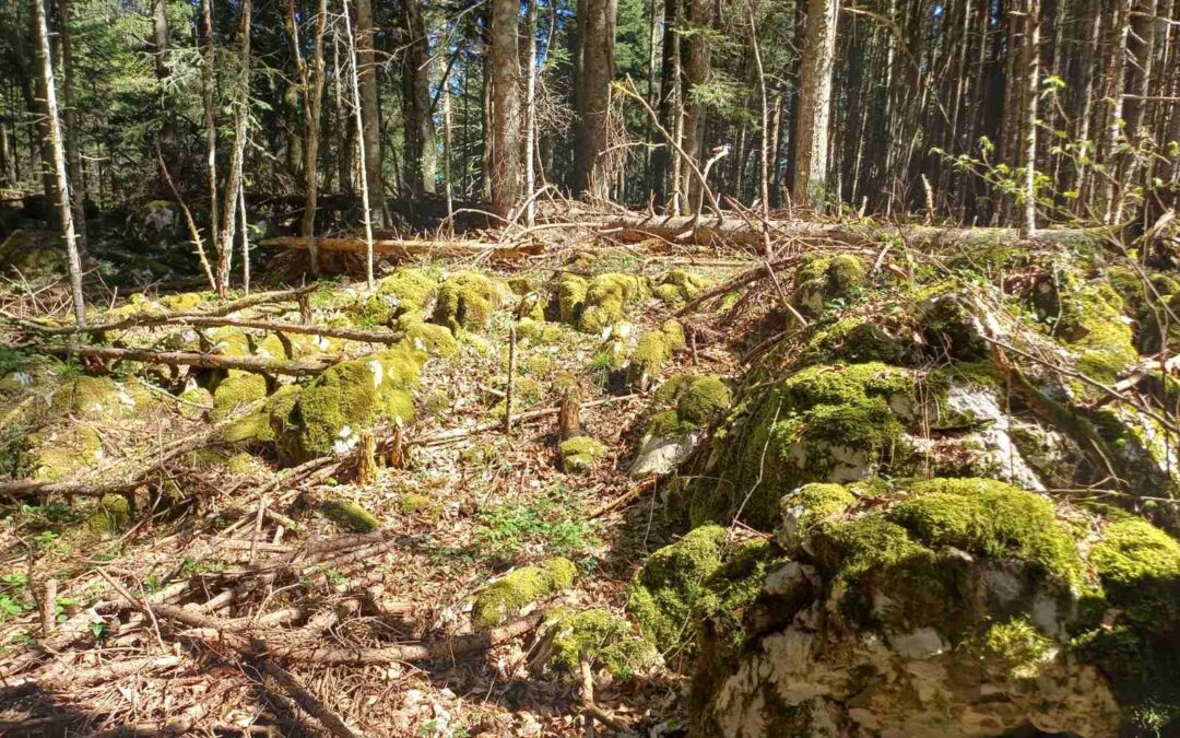 The Hidden Illyrian City in Banjalučica: Ramparts, Tumuli, and a Roman Road