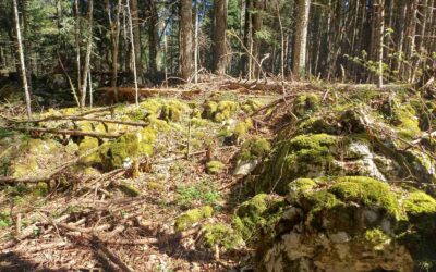 The Hidden Illyrian City in Banjalučica: Ramparts, Tumuli, and a Roman Road