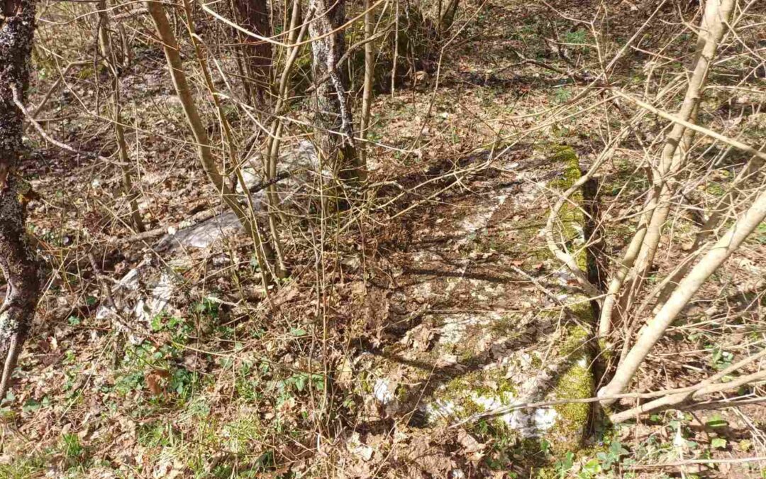 Saturday Cleanup Action for the Necropolis of Medieval Tombstones Crkvine in Glavatičevo