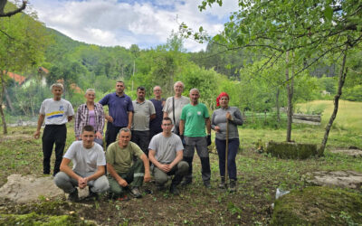 Cleanup Action for the Crkvine Necropolis of Medieval Tombstones in Glavatičevo Successfully Completed