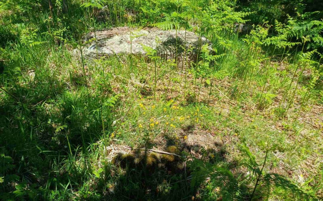 The Mramorje Necropolis Near Viogor Hides At Least 34 Medieval Tombstones