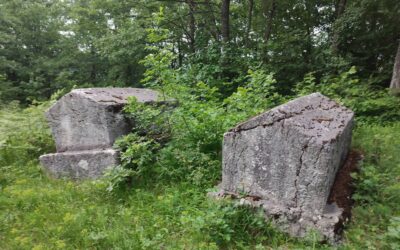 The Zlatovo Necropolis of Medieval Tombstones – Stone Giants near Srebrenica