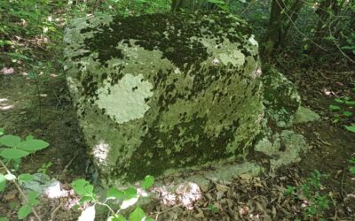 Polje (Gradina), Grajani – Visoko