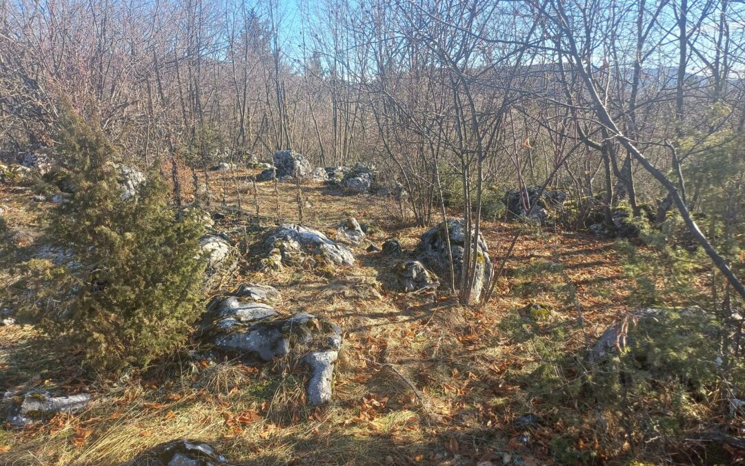 Fondacija “Čuvari baštine – Bassania” otkrila neevidentiranu ilirsku gradinu na Hreši