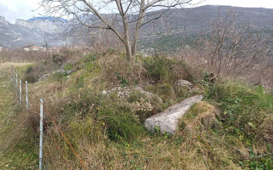 Nekropola Grebnice II u Podgoranima – svjedok prošlosti prepušten zaboravu