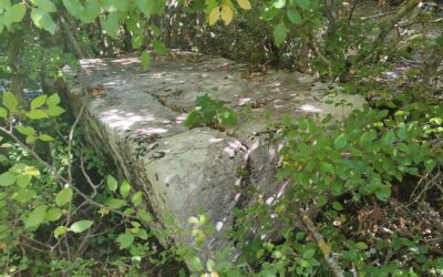 Varin Brijeg, Gornje Grančarevo – Trebinje