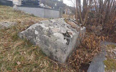 Fondacija Bassania obišla nekropole u Donjoj Ljubogošti