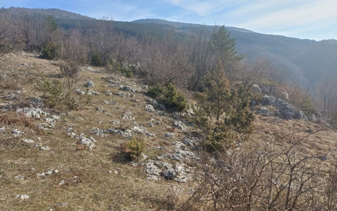 Nastavak obilaska ilirskih gradina oko Sarajeva: Velika i Mala Gradina u Faletićima