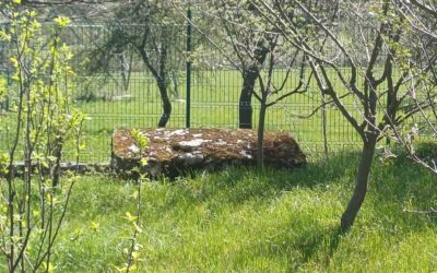 Posjetili smo Pazarić i obišli nekropole stećaka