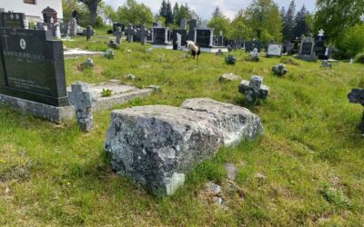 Obišli smo nekropole na području Gornjeg Pribnja