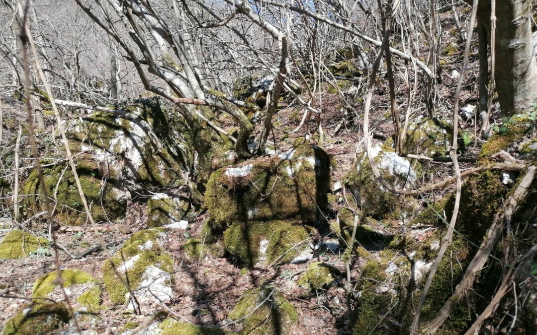 Gradina Spila, Gornja Bijela – Konjic