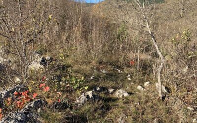 Gradina, Dolovi – Rudo