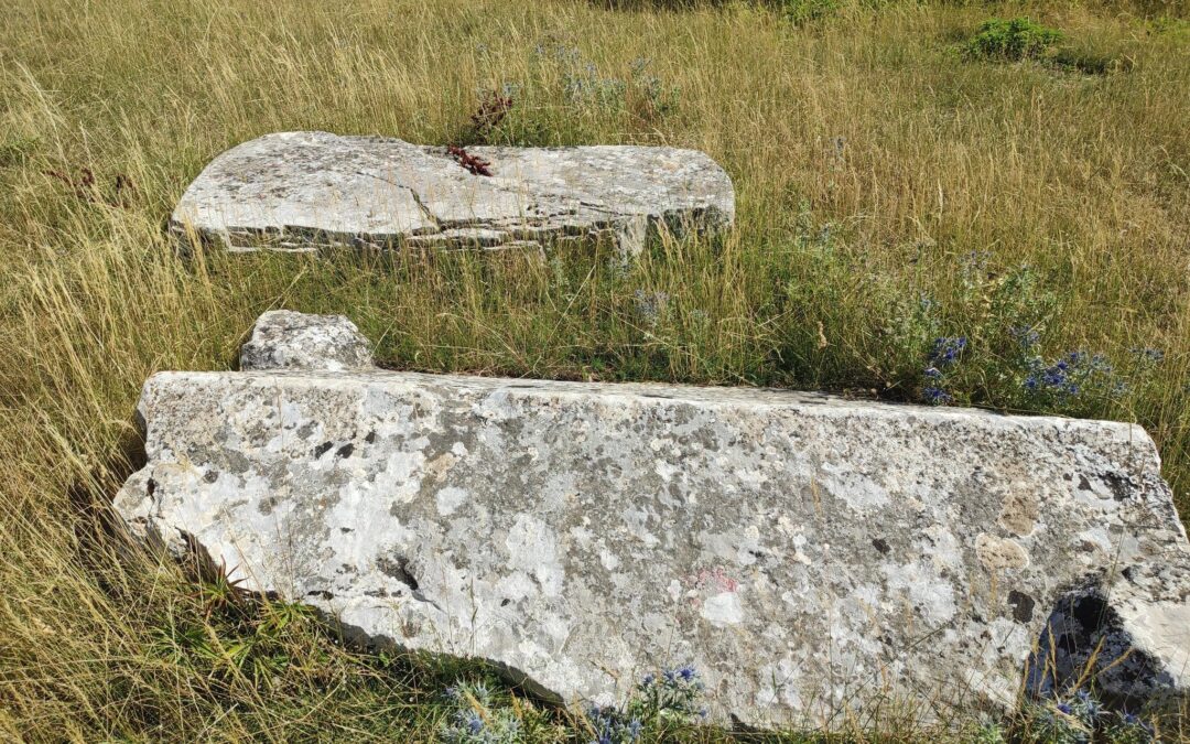 Nekropole Bosanskog Petrovca: Vrtoča i Škrakića brdo