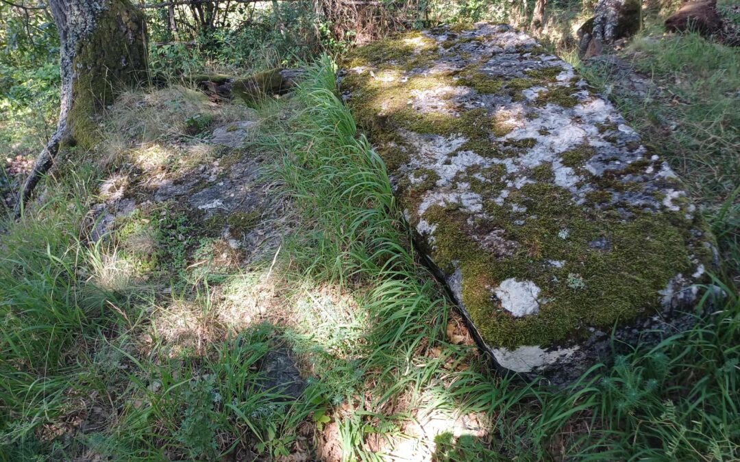 Novo otkriće u Borovskom: Neevidentirana nekropola stećaka Prljuge