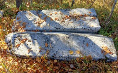 Nova neevidentirana nekropola stećaka u Donjem Dubovu, Višegrad