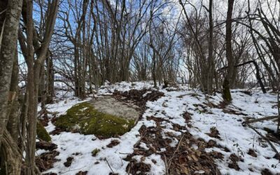 Nekropola Crkvina/Martin, Fajtovci – prijetnja totalnog uništenja zbog blizine rudnika