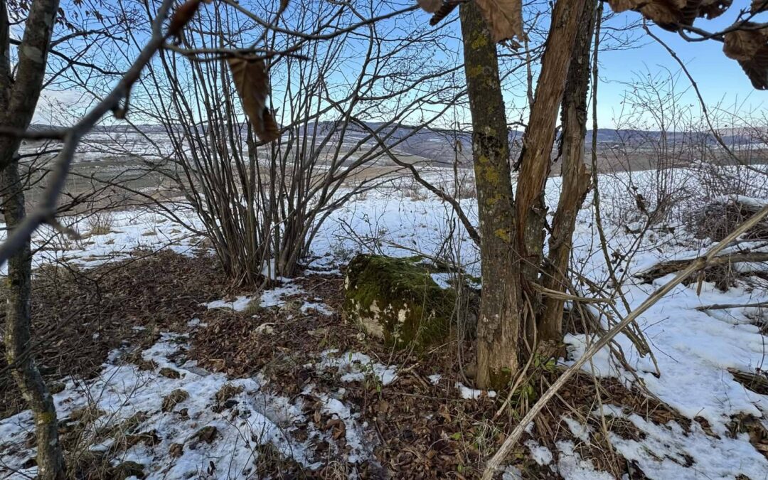 Reakcija institucija nakon apela: Pokrenut postupak zaštite nekropole Crkvina u Fajtovcima