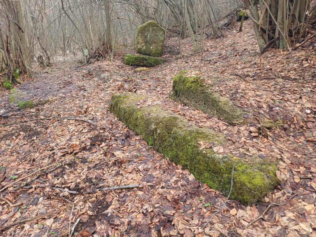 3ad822a2-f45c-40d1-844d-42e717318cbc