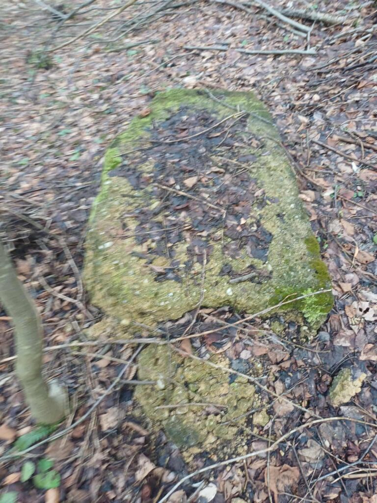 4d33685e-4a8a-4940-a3d0-000587fe61d4