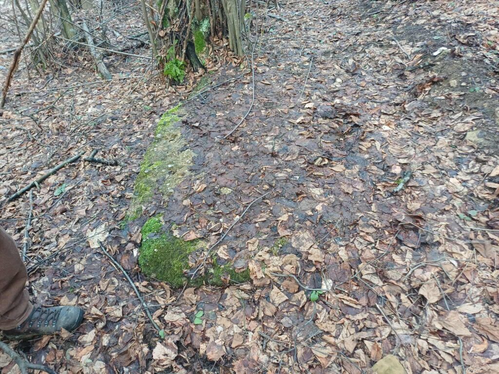 6b1e7fc9-bc25-42dc-9364-d254e41cdb23