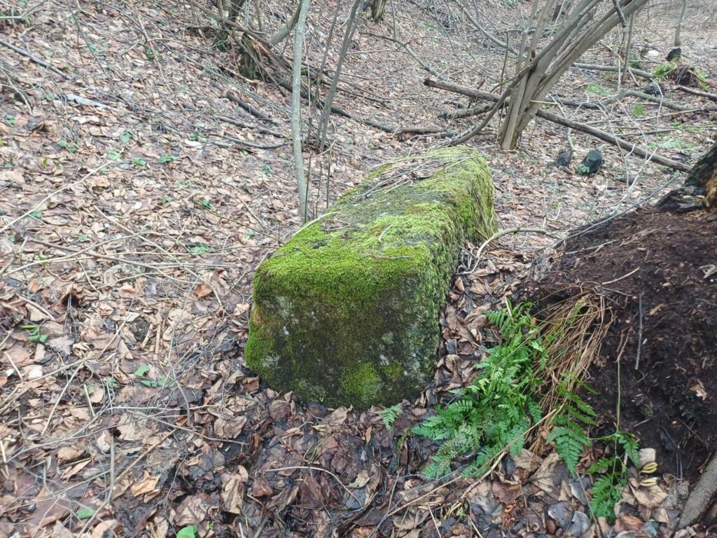 909f7988-5e94-402b-a21b-787bd32ca80a