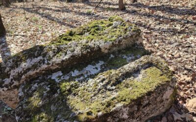 Gornja Misoča kod Ilijaša: Gradina Kik i stećak sa simbolom ruke
