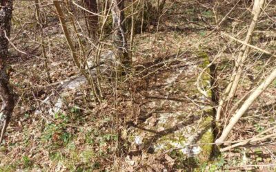 U subotu akcija čišćenja nekropole stećaka Crkvine u Glavatičevu