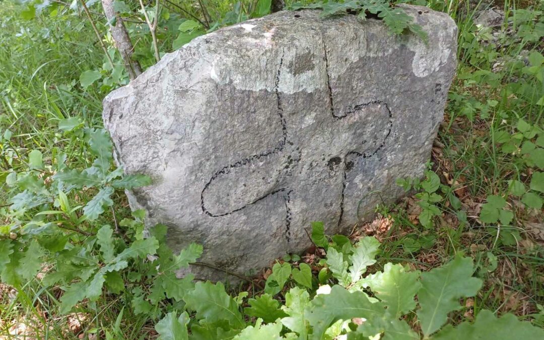 Nekropola Jahatine (Dolinice), Vrsinje – ispravljena evidencija stećaka